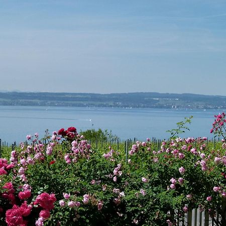 Abc Ferienwohnungen Abc Wohnung A Meersburg Zewnętrze zdjęcie