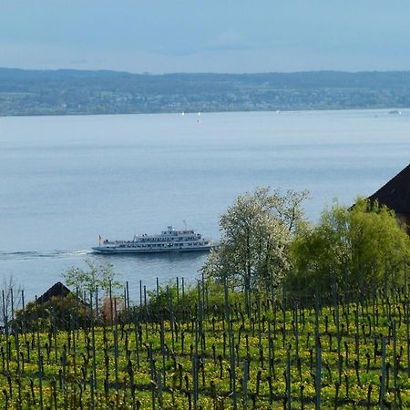 Abc Ferienwohnungen Abc Wohnung A Meersburg Zewnętrze zdjęcie