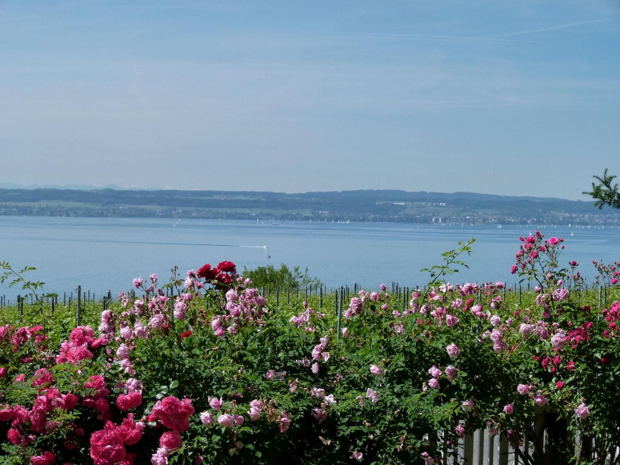 Abc Ferienwohnungen Abc Wohnung A Meersburg Zewnętrze zdjęcie